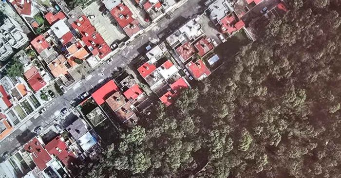 'Devora' mancha urbana vegetaci&oacute;n en Puebla