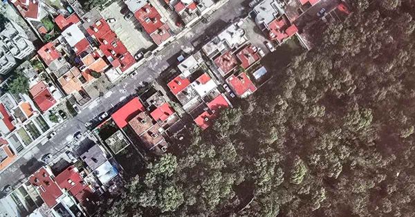 'Devora' mancha urbana vegetaci&oacute;n en Puebla