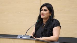 Propone Delfina Pozos crear el Sistema Estatal de Alertas Tur&iacute;sticas
