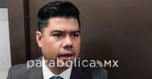 Expone Natale ruta del PVEM rumbo al 2027
