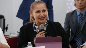 Puebla, a la vanguardia en inclusi&oacute;n e igualdad laboral: Lira
