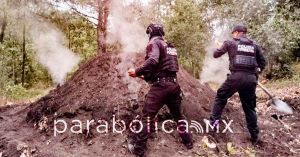 Destruye Polic&iacute;a Forestal 11 hornos clandestinos para deshidratar madera