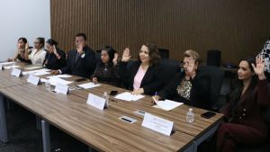 Avalan exhorto para fortalecer perspectiva de g&eacute;nero en el presupuesto 2027