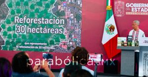 Investiga SEP 10 casos de acoso y hostigamiento sexual