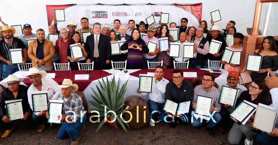 Consolida Puebla liderazgo nacional en producci&oacute;n de mezcal: SDR
