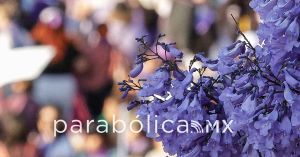 Encabezan mujeres el Gabinete estatal, se&ntilde;ala Armenta tras el 8M