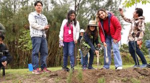 Siembran y donan *SEDIF y voluntariados del Gobierno del Estado 200 &aacute;rboles en el Ecoparque Metropolitano