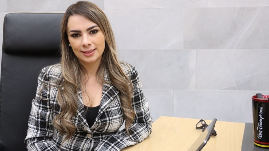 Con iniciativa, proponen que menores conozcan su origen biol&oacute;gico