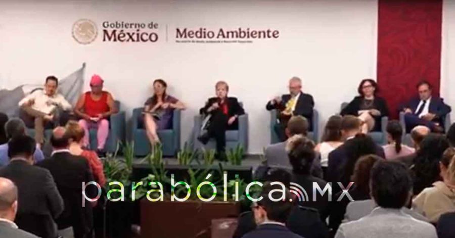 Descarta Alicia B&aacute;rcena el proyecto de Royal Caribbean en Mahahual