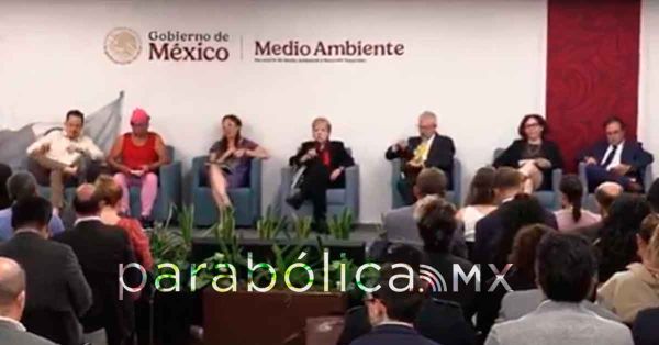 Descarta Alicia B&aacute;rcena el proyecto de Royal Caribbean en Mahahual
