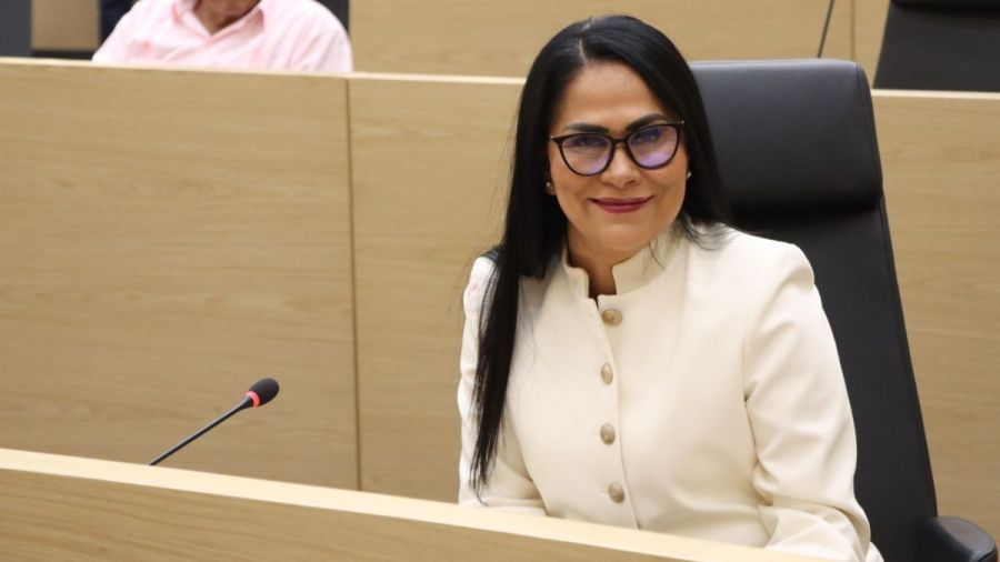 Exhortan a implementar un plan de movilidad para &ldquo;horas pico&rdquo;