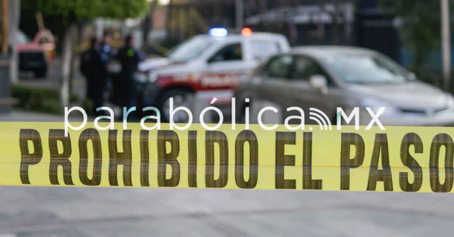 Se continuar&aacute; trabajando para reducir los delitos: Sheinbaum ante resultados de la ENSU