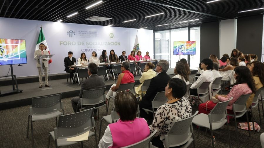 Participa diputada en foro por el D&iacute;a Internacional de la Familia