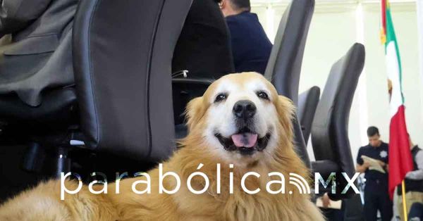 Confirma Armenta el fallecimiento de su perrito Tommy