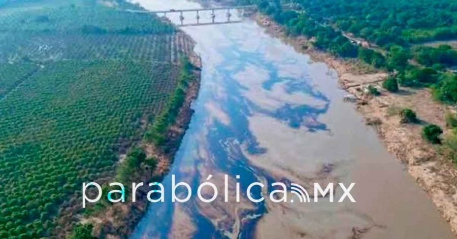 Acepta Greenpeace difusi&oacute;n de informaci&oacute;n falsa sobre el derrame de petr&oacute;leo en el Golfo de M&eacute;xico