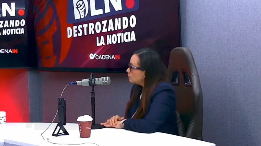 Los Mier pondr&aacute;n a prueba los filtros de Morena: periodista