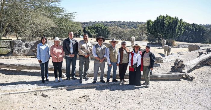 Inician en Cuautlancingo campa&ntilde;a de reciclaje de &aacute;rboles navide&ntilde;os