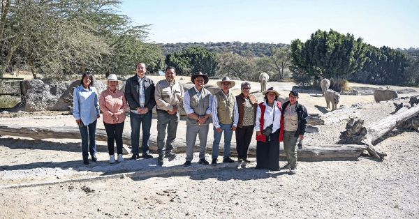 Inician en Cuautlancingo campa&ntilde;a de reciclaje de &aacute;rboles navide&ntilde;os