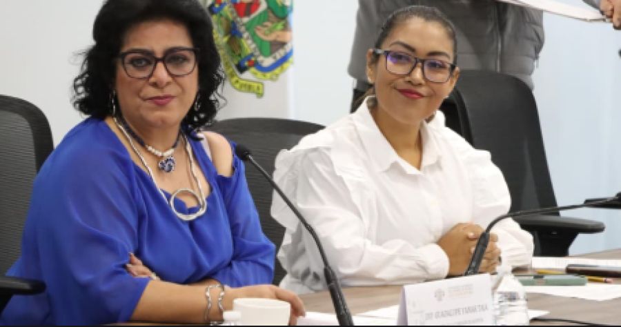 Avalan exhorto para que Ayuntamientos cumplan con &oacute;rdenes de protecci&oacute;n a menores y mujeres v&iacute;ctimas de violencia