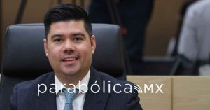 Propone Natale crear la Fiscal&iacute;a Especializada en Investigaci&oacute;n de Delitos contra los Animales