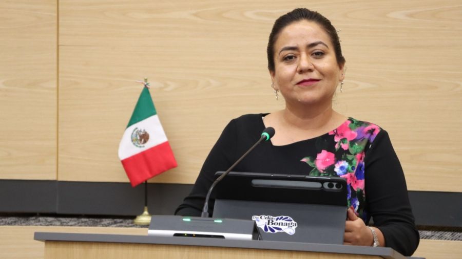 Buscan promover e implementar programas de captaci&oacute;n de agua pluvial