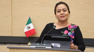 Buscan promover e implementar programas de captaci&oacute;n de agua pluvial