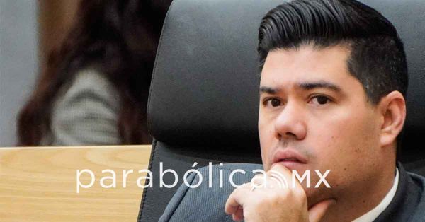 Abre la puerta PVEM adelantar alternancia de g&eacute;nero para 2030