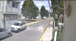 Exigen justicia por un perro callejero atropellado por una pipa de gas en Huejotzingo