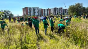 Impulsan restauraci&oacute;n del Cerro de Amalucan con &ldquo;Ra&iacute;ces del Futuro&rdquo;