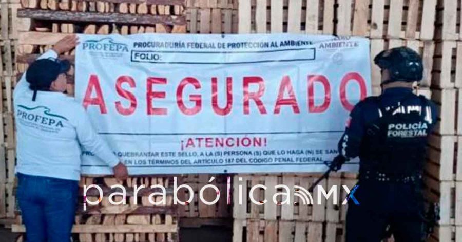 Clausuran SSP y PROFEPA aserraderos en Chignahuapan y Aquixtla