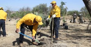 Reforestan Parque Bicentenario gobierno de Puebla, fundaciones y poblaci&oacute;n