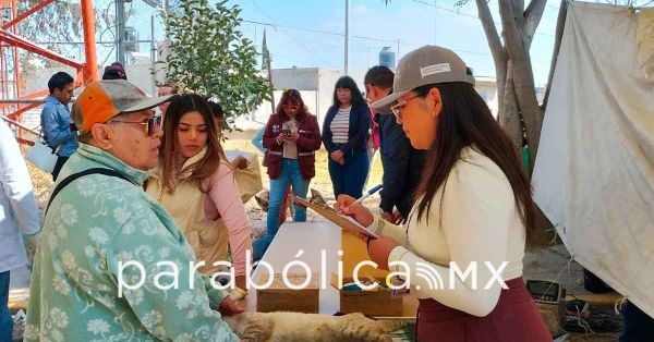 Mejora ayuntamiento servicios mediante verificaciones ciudadanas