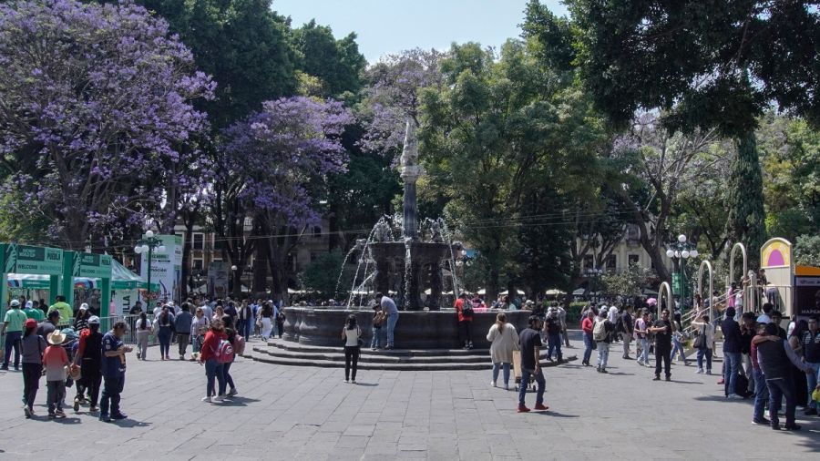 Gobierno de Pepe Chedraui invita a pasar un divertido fin de semana