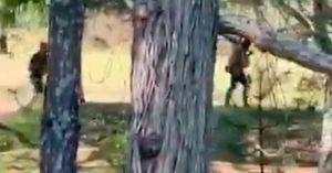 Respalda Conago operativo de la Defensa contra "El Mencho"