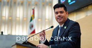 Sentenciados por delitos dolosos no deben laborar en el servicio p&uacute;blico: Natale