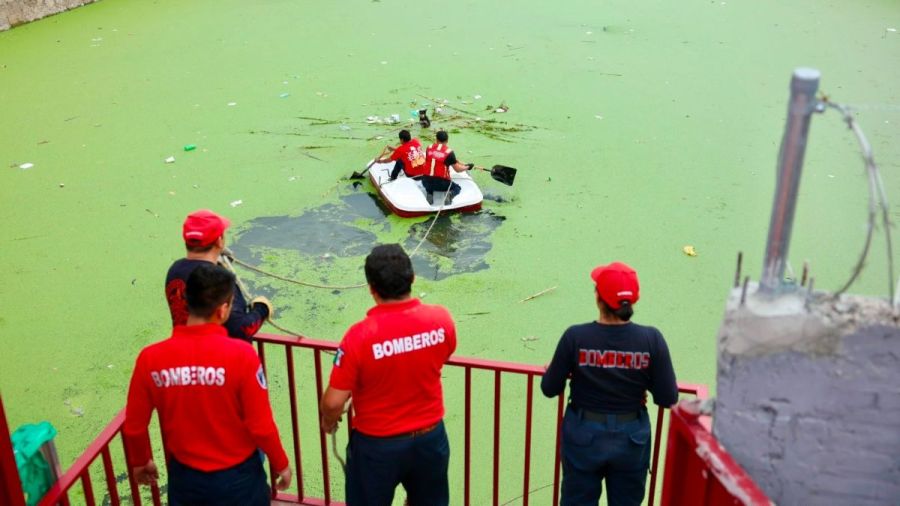 Bomberos Cuautlancingo rescatan a lomito en vaso regulador