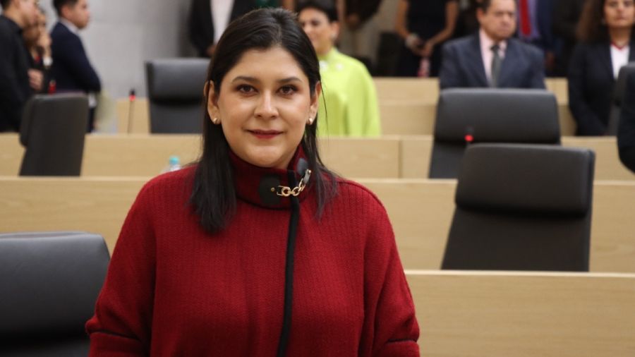 Plantea diputada Ana Lilia Tepole proteger patrimonio biocultural